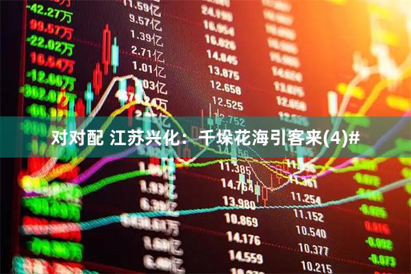 对对配 江苏兴化：千垛花海引客来(4)#